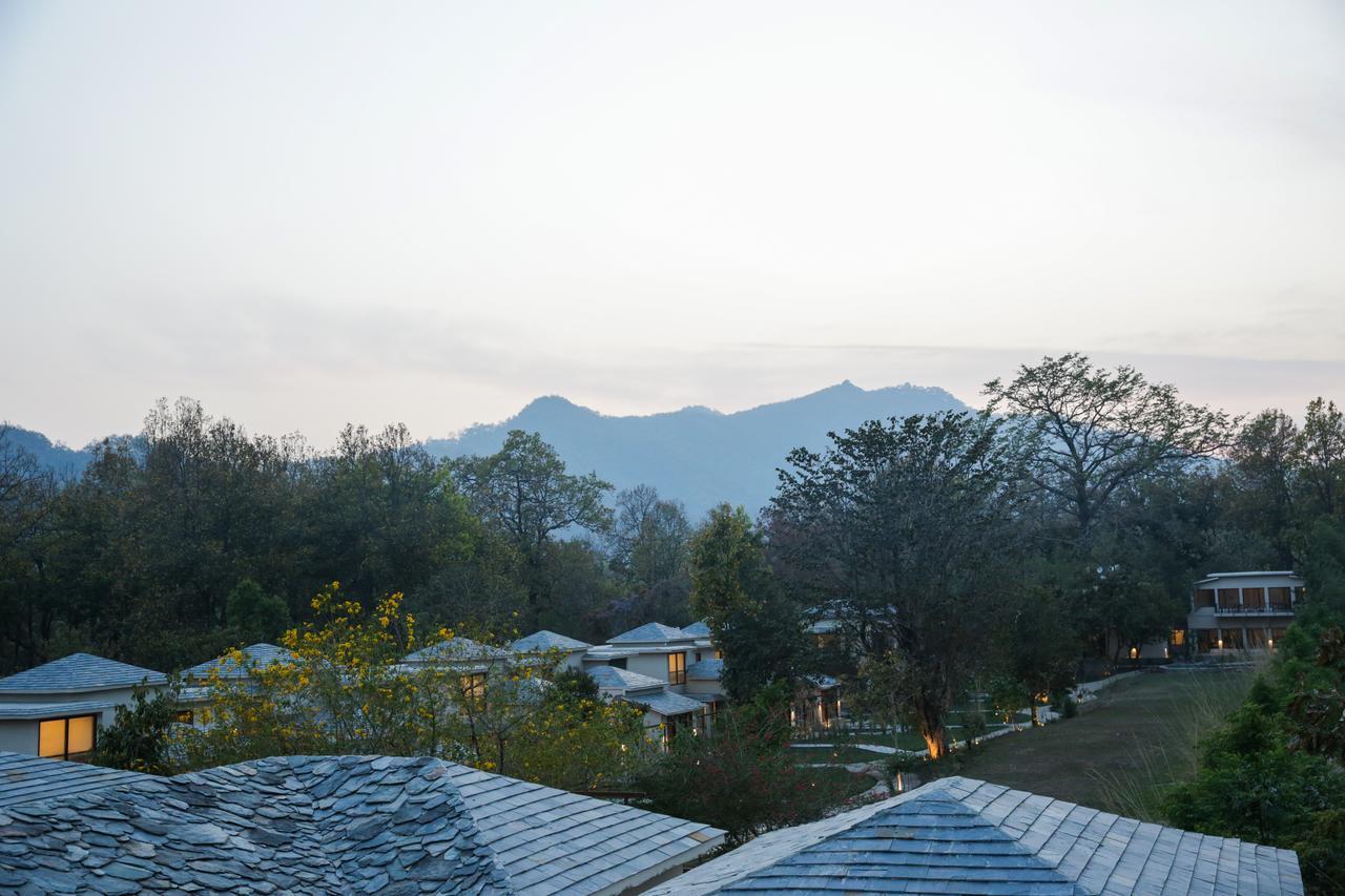 Saraca & Corbett Garjia