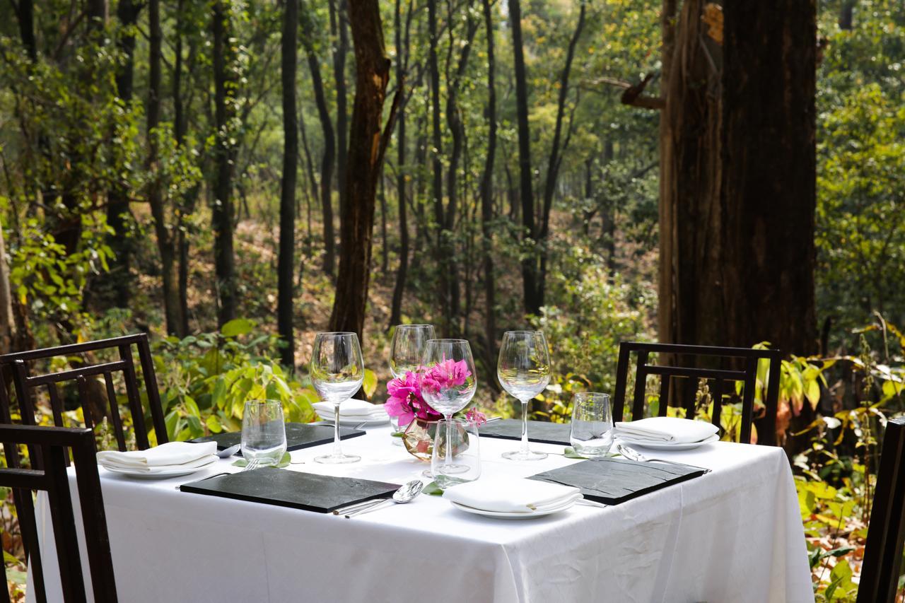 Saraca & Corbett Garjia